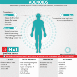 Adenoids Definition Symptoms Cause Diet Regimen Homeopathic Medicine Homeopath Treatment in Rajkot India