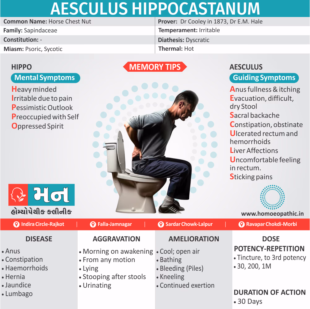 Aesculus Hippocastanum infographic detailing effective homoeopathic treatment for hemorrhoids and severe backache at our Rajkot clinic.