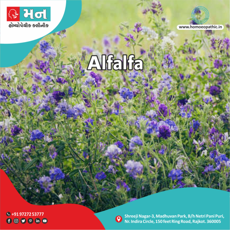 Alfalfa Mann Homeopathy Clinic Rajkot