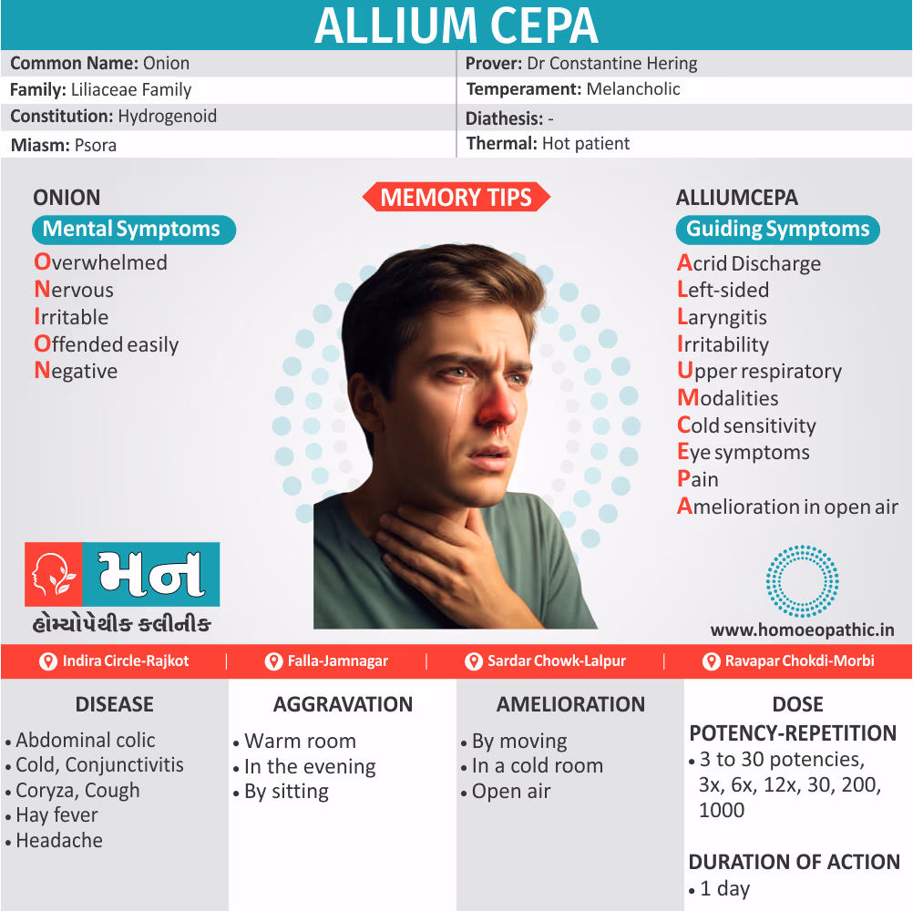 Allium Cepa infographic detailing cold and hay fever homoeopathic treatment at our Rajkot clinic.