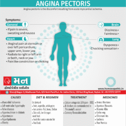 Angina Pectoris Definition Symptoms Cause Diet Regimen Homeopathic Medicine Homeopath Treatment in Rajkot India