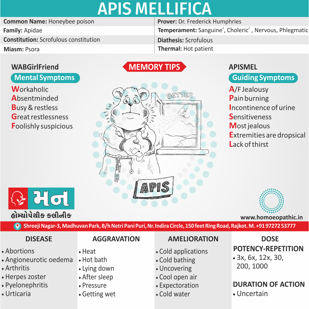 Apis Mellifica Homeopathy Medicine Memory Tip Symptoms Constitution Use Disease Dose Potency Repetition Drug Picture Mann Homoeopathic Clinic Rajkot