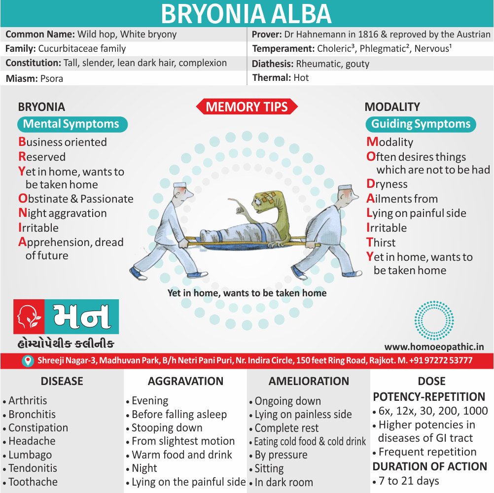 Bryonia Alba Homeopathy Medicine Memory Tip Symptoms Constitution Use Disease Dose Potency Repetition Drug Picture Mann Homoeopathic Clinic Rajkot