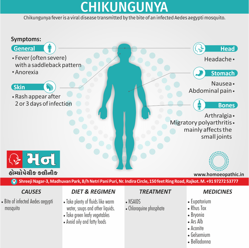 Chikungunya Definition Symptoms Cause Diet Homeopathic Medicine Treatment Homeopathy Doctor Clinic in Rajkot Gujarat India