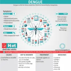 Dengue Symptoms Cause Homeopathic Medicine Homeopath Treatment in Rajkot Gujarat India