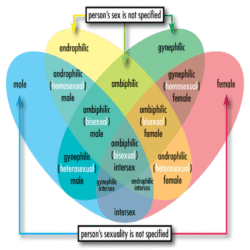 Disorders Of Sexual Preference Definition Symptoms Cause Diet Regimen Homeopathic Medicine Homeopath Treatment In Rajkot India