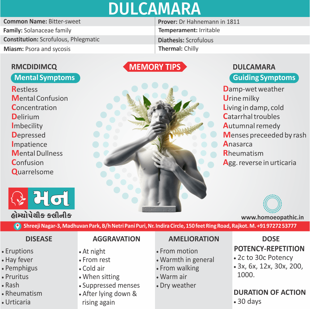 Informative and descriptive of the image content: Dulcamara Homeopathic Remedy: Uses, Benefits & Symptoms, Mann Homeopathic Clinic - Dulcamara Treatment Guide, "Infographic about the homeopathic remedy Dulcamara, highlighting its uses, symptoms, and dosage, from Mann Homeopathic Clinic."