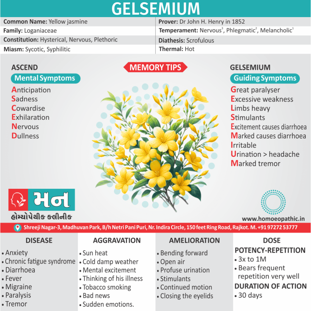 Gelsemium - Mann Homeopathy Clinic Rajkot