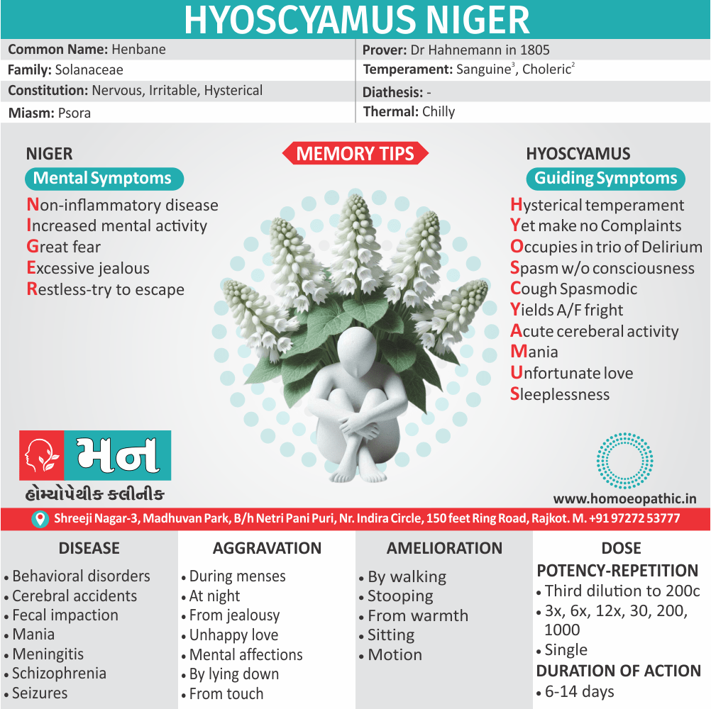 Infographic detailing the homeopathic uses, symptoms, and dosages of Hyoscyamus Niger, provided by Mann Homeopathic Clinic in Rajkot, India. It highlights treatments for mental and nervous disorders like mania, seizures, and behavioral issues.