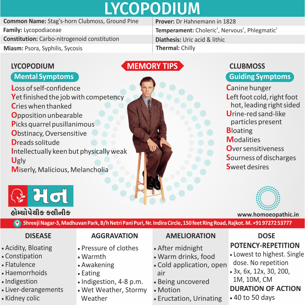 Lycopodium Homeopathy Medicine Memory Tip Symptoms Constitution Use Disease Dose Potency Repetition Drug Picture Mann Homoeopathic Clinic Rajkot