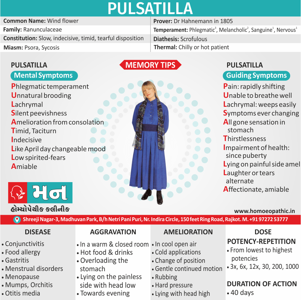 Pulsatilla Homeopathy Medicine Memory Tip Symptoms Constitution Use Disease Dose Potency Repetition Drug Picture Mann Homoeopathic Clinic Rajkot