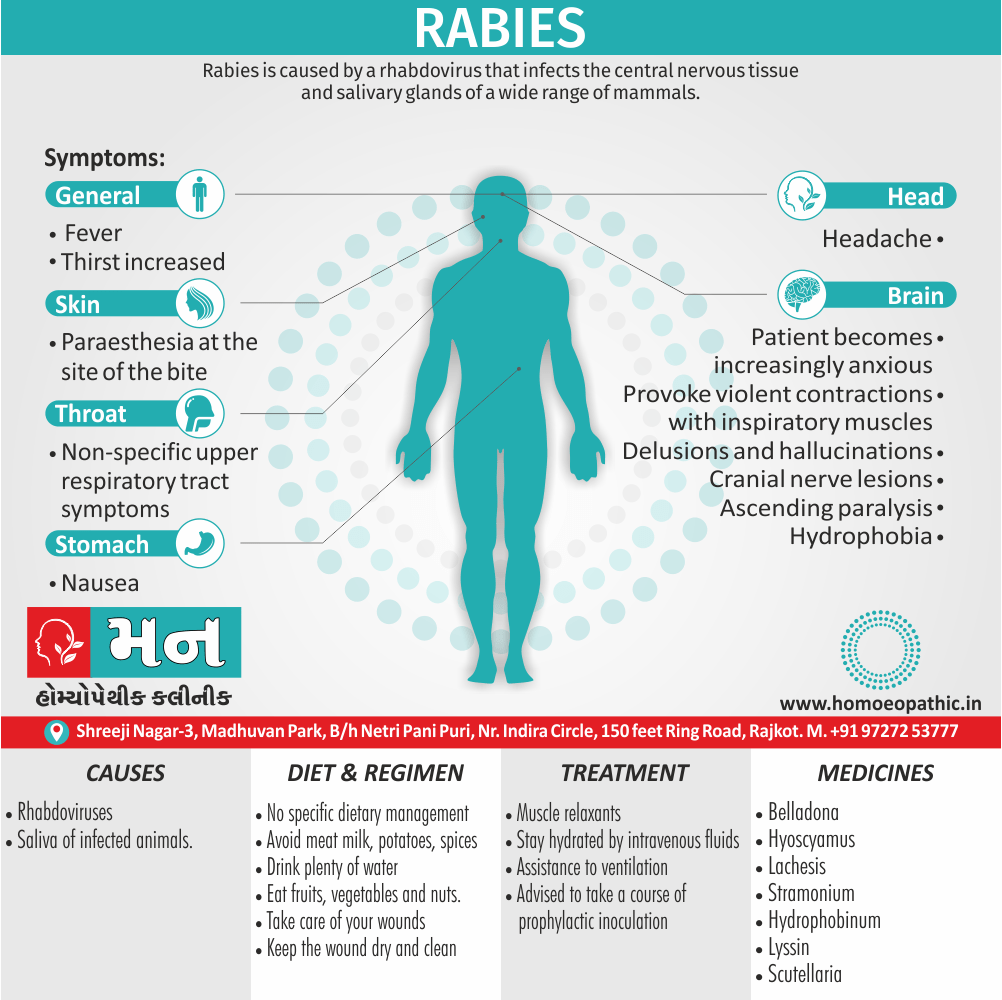 Rabies Definition Symptoms Cause Diet Homeopathic Medicine Treatment Homeopathy Doctor Clinic in Rajkot Gujarat India
