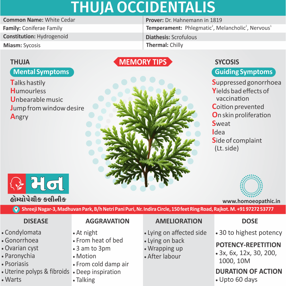 Informative infographic about Thuja Occidentalis homeopathic remedy, highlighting its uses, symptoms, and treatment options offered at Mann Homeopathic Clinic.